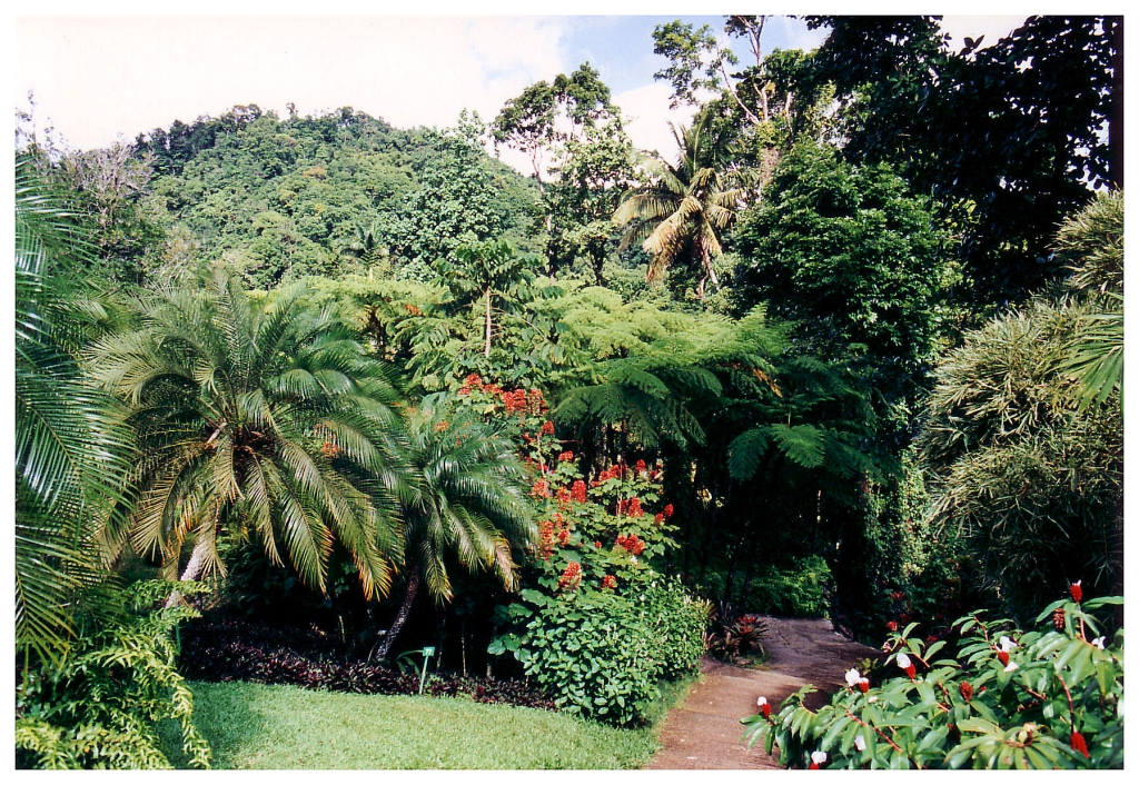 06 - Jardin De Balata (0).jpg